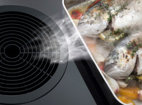 Bora Basic Hyper Kochfeld Mit Integriertem Kochfeldabzug Bha In Aktion Mit Fisch 15470004 19